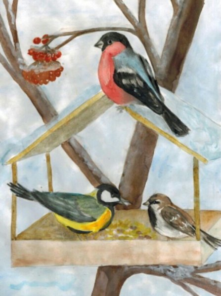 Зимующие птицы Птичья столовая