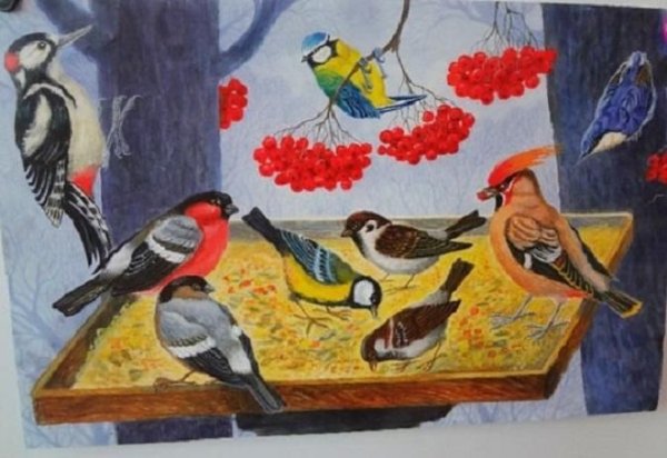 Зимующие птицы Снегирь