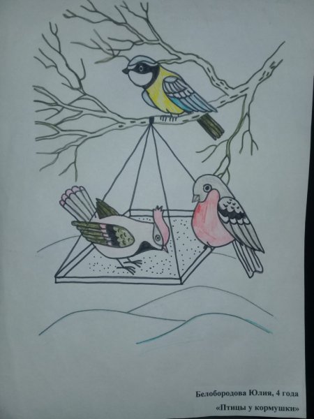 Рисование кормушка для птиц старшая группа