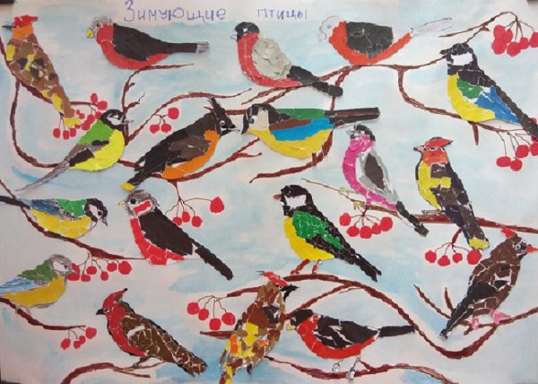 Рисунки зимующих птиц в цвете