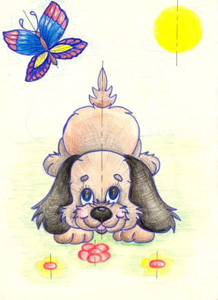 Симметричные животные рисунки