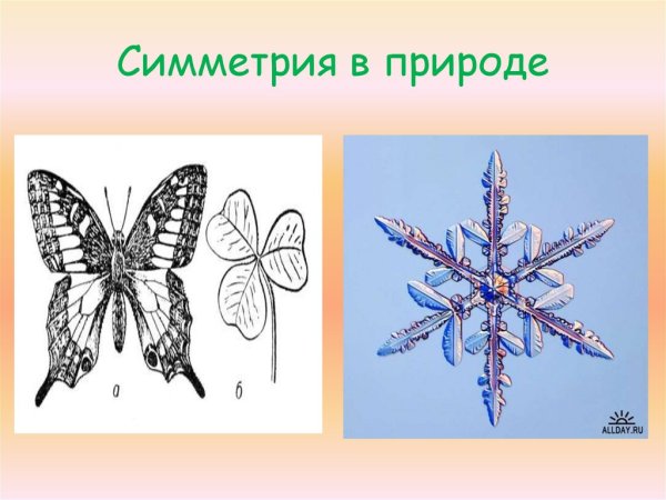 Симметрия в природе имлеедовпние