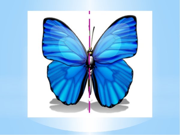 Симметричные предметы