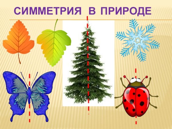 Вертикальная симметрия