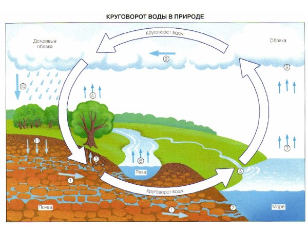 Океанический круговорот воды в природе