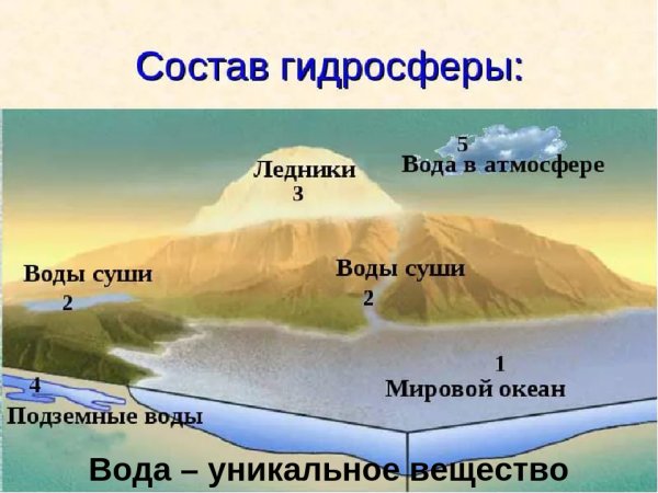 Состав гидросферы