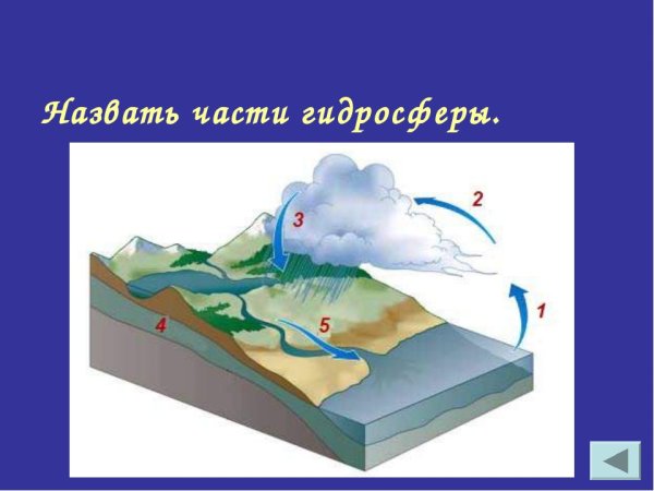 Части гидросферы