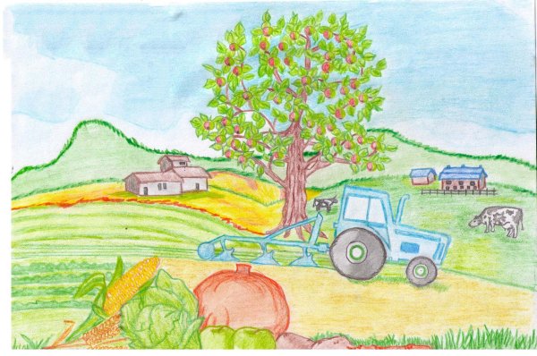 Сельское хозяйство глазами детей