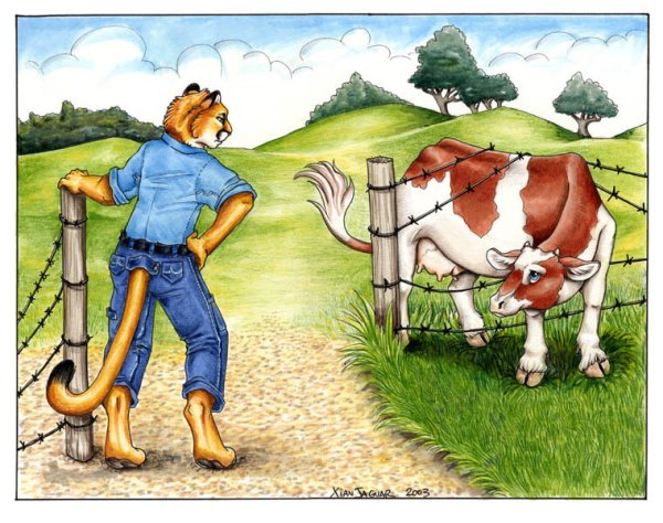 Сельское хозяйство для детей