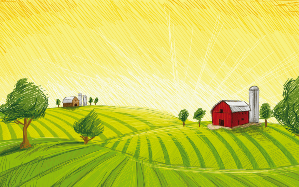 Нарисованное поле