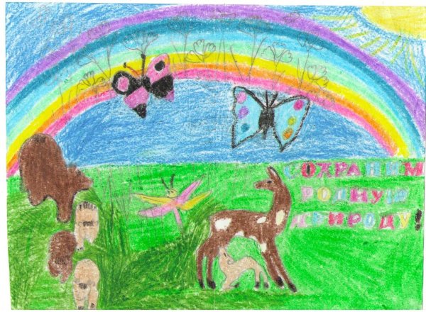 Чудесный мир природы детские рисунки