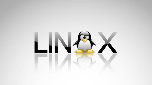 Операционные системы Linux
