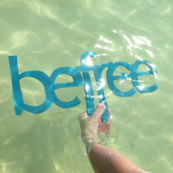 Картинки Бифри компании