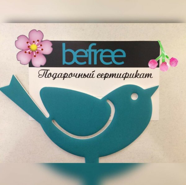 Сертификат в Бифри