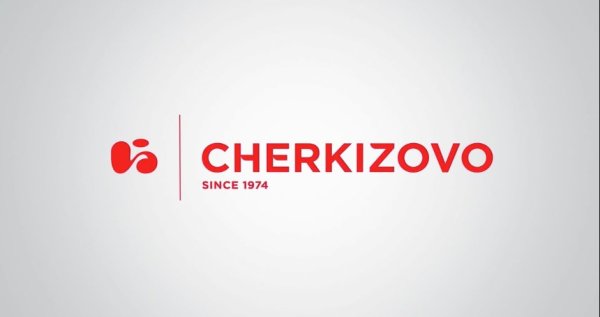 Группа Черкизово logo