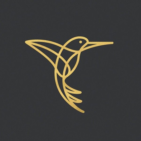Логотип в виде птицы