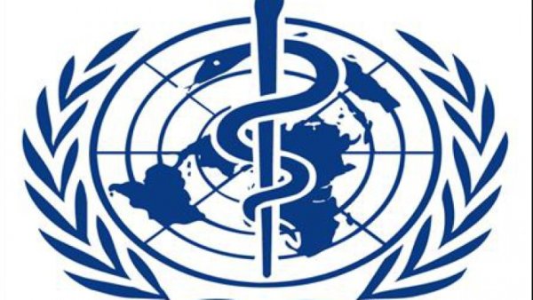 Европейское бюро воз