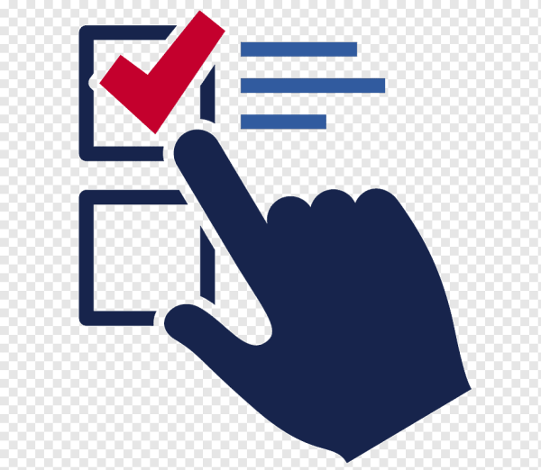 Выборы значок