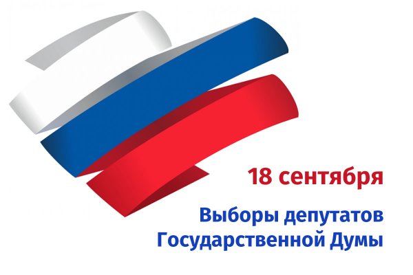 Выборы депутатов Госдумы