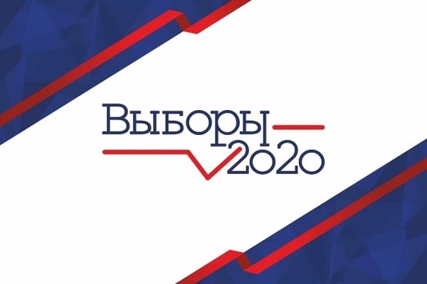 Выборы 2020