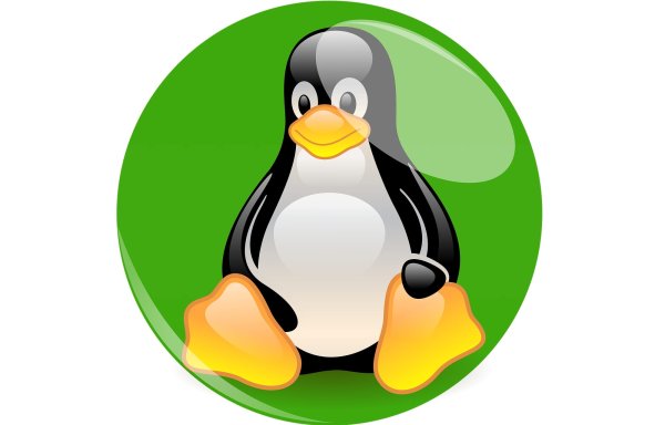 ОС Linux Пингвин