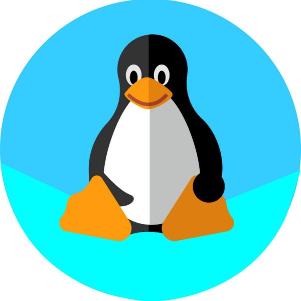 Пингвин значок