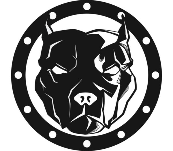 Питбуль черно белый