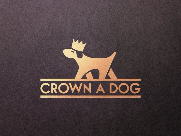 Эмблема дружок зоомагазин