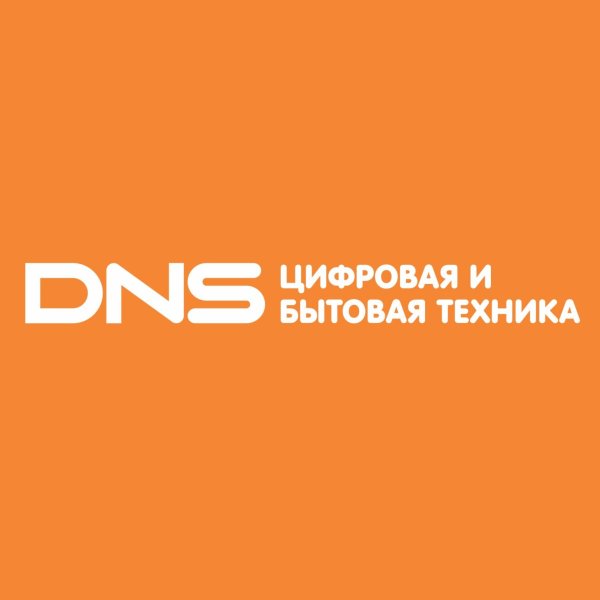 Логотип компании DNS