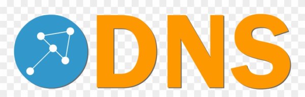 ДНС эмблема