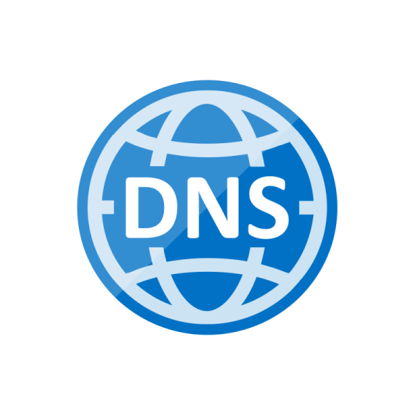 DNS логотип на прозрачном фоне