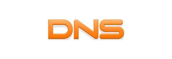 DNS logo