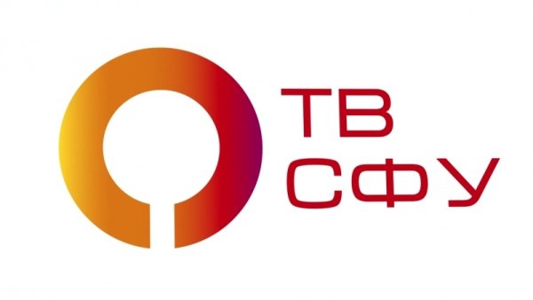 ИЦМИМ СФУ логотип