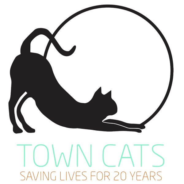 Силуэт кошки с клубком