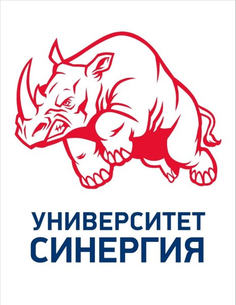 Школа бизнеса СИНЕРГИЯ логотип