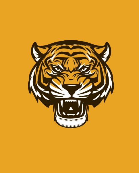 Символ тигра