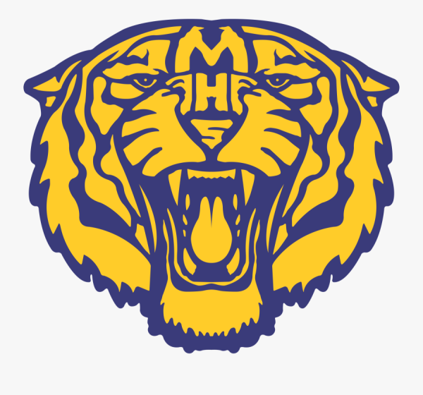 Логотип Тайгер