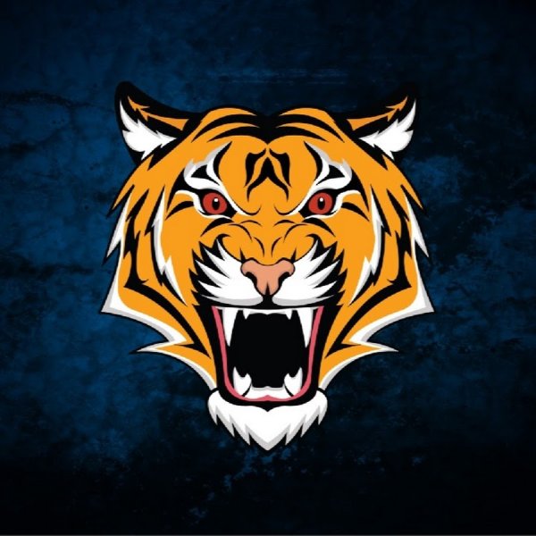 Красивая эмблема тигра
