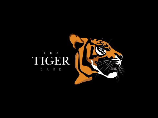 Лого тигр взгляд