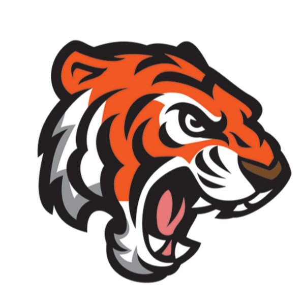 Логотип тигра