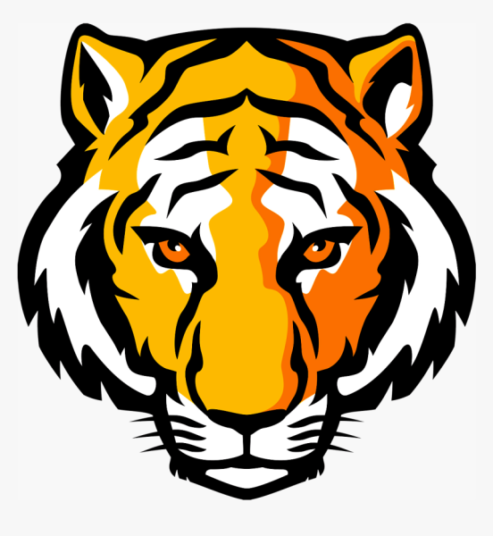 Тигр голова