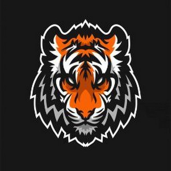 Тигр логотип команды