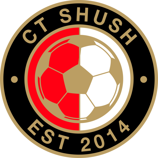 Круглые эмблемы футбольных клубов