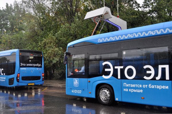 Реклама Мосгортранс