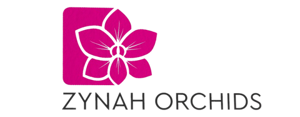 Логотип Orchid