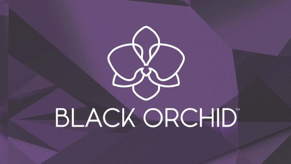Черная Орхидея логотип