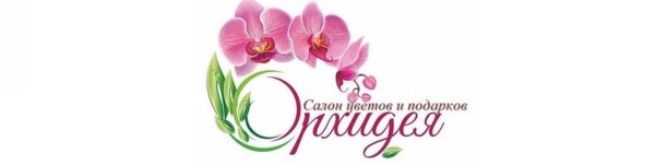 Логотип магазина Орхидея