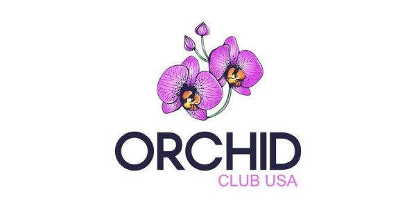 Орхидея создать логотип