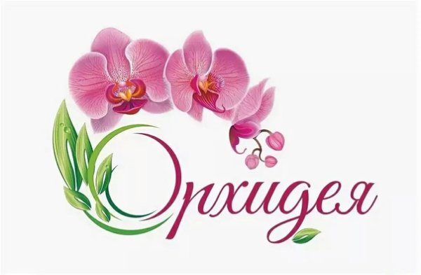 Орхидея в цветочном магазине