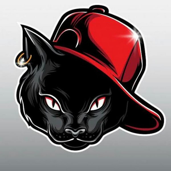 Логотип Black Cat